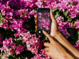 Smartphone Photography