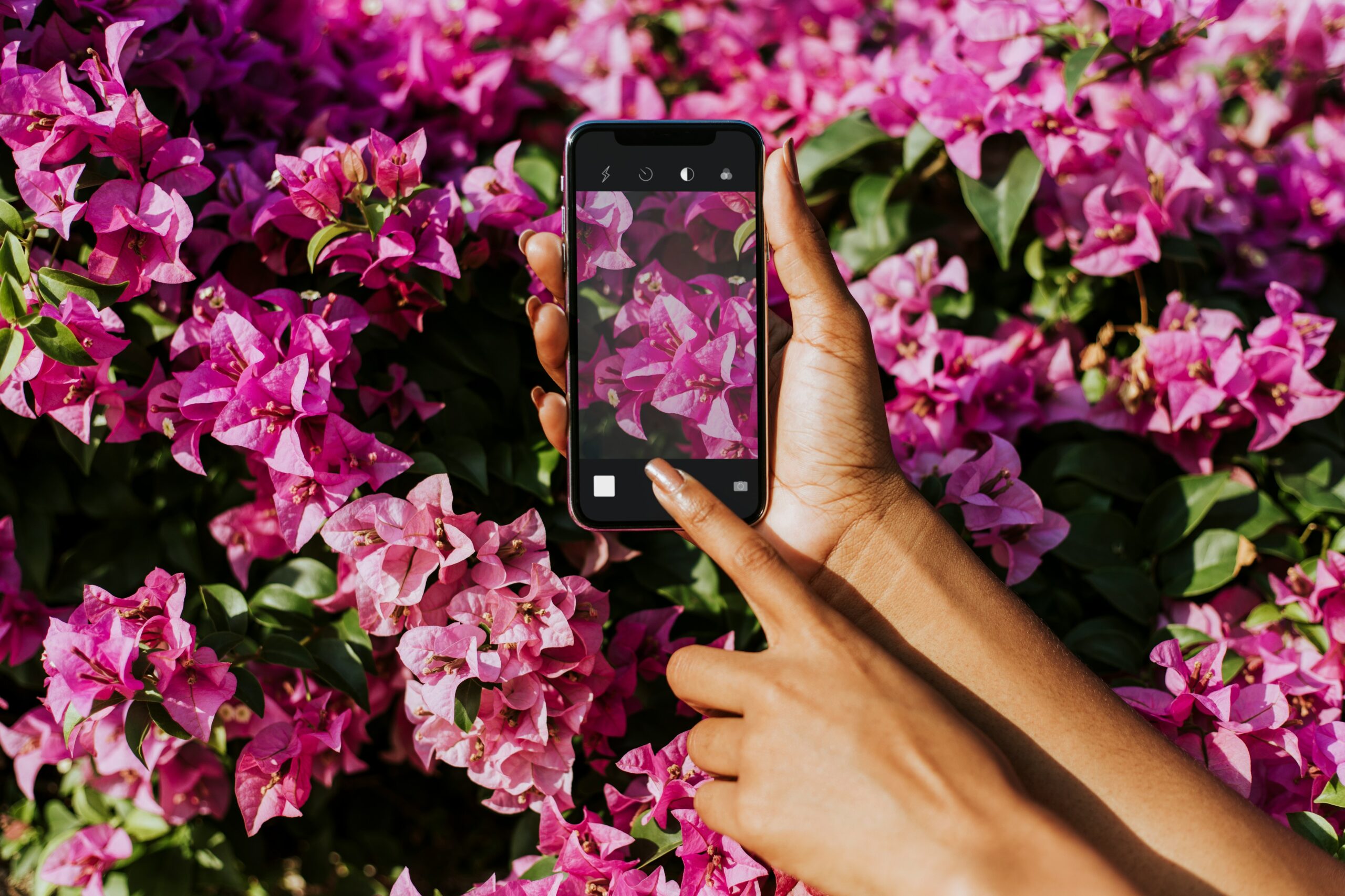 Smartphone Photography