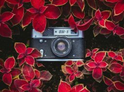 Jeremy Berman Put-in-Bay - Photography