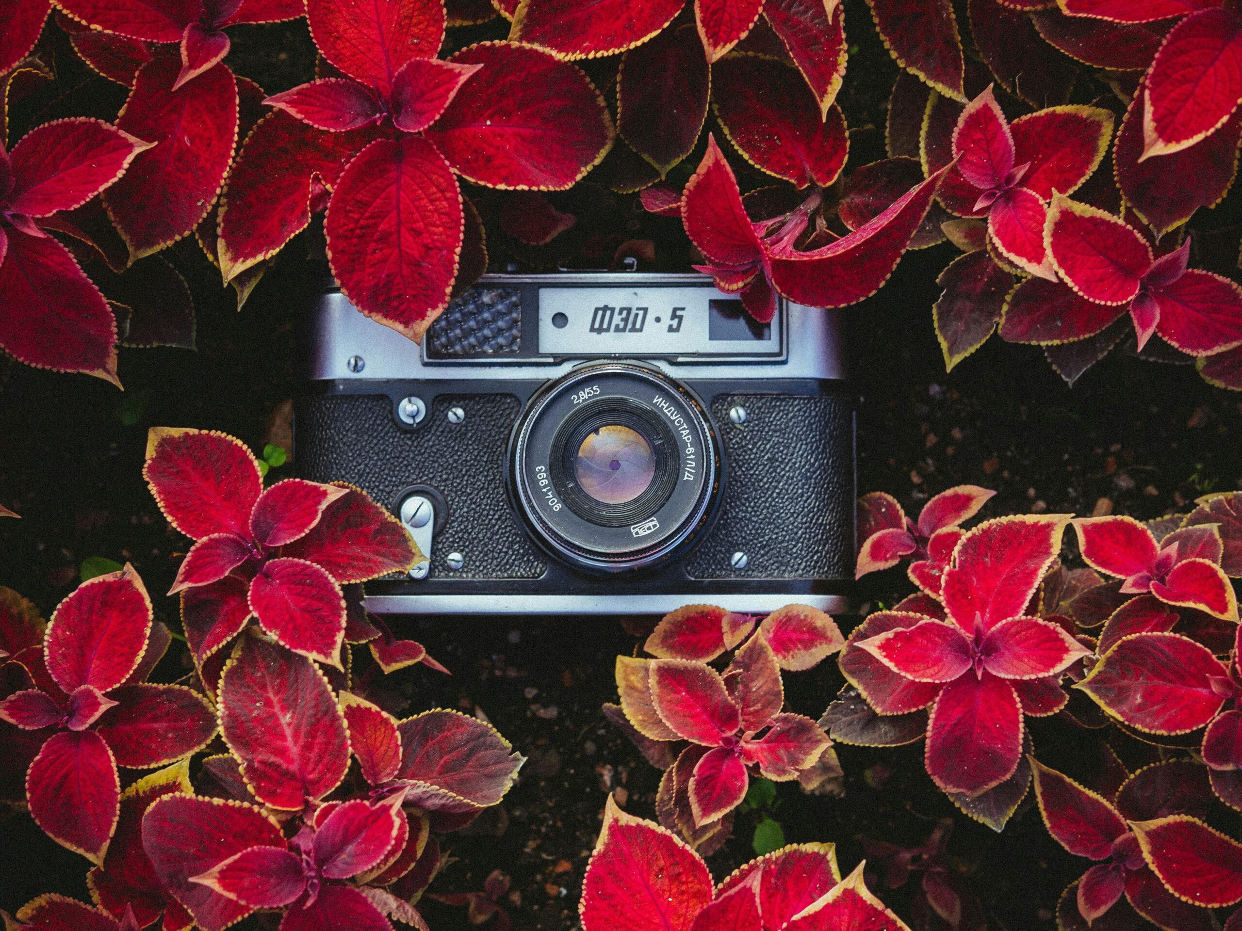Jeremy Berman Put-in-Bay - Photography