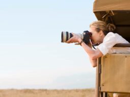 Wildlife Photography Tips